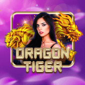 d9d9 game Dragon Tiger