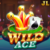 d9d9 game Wild Ace slot